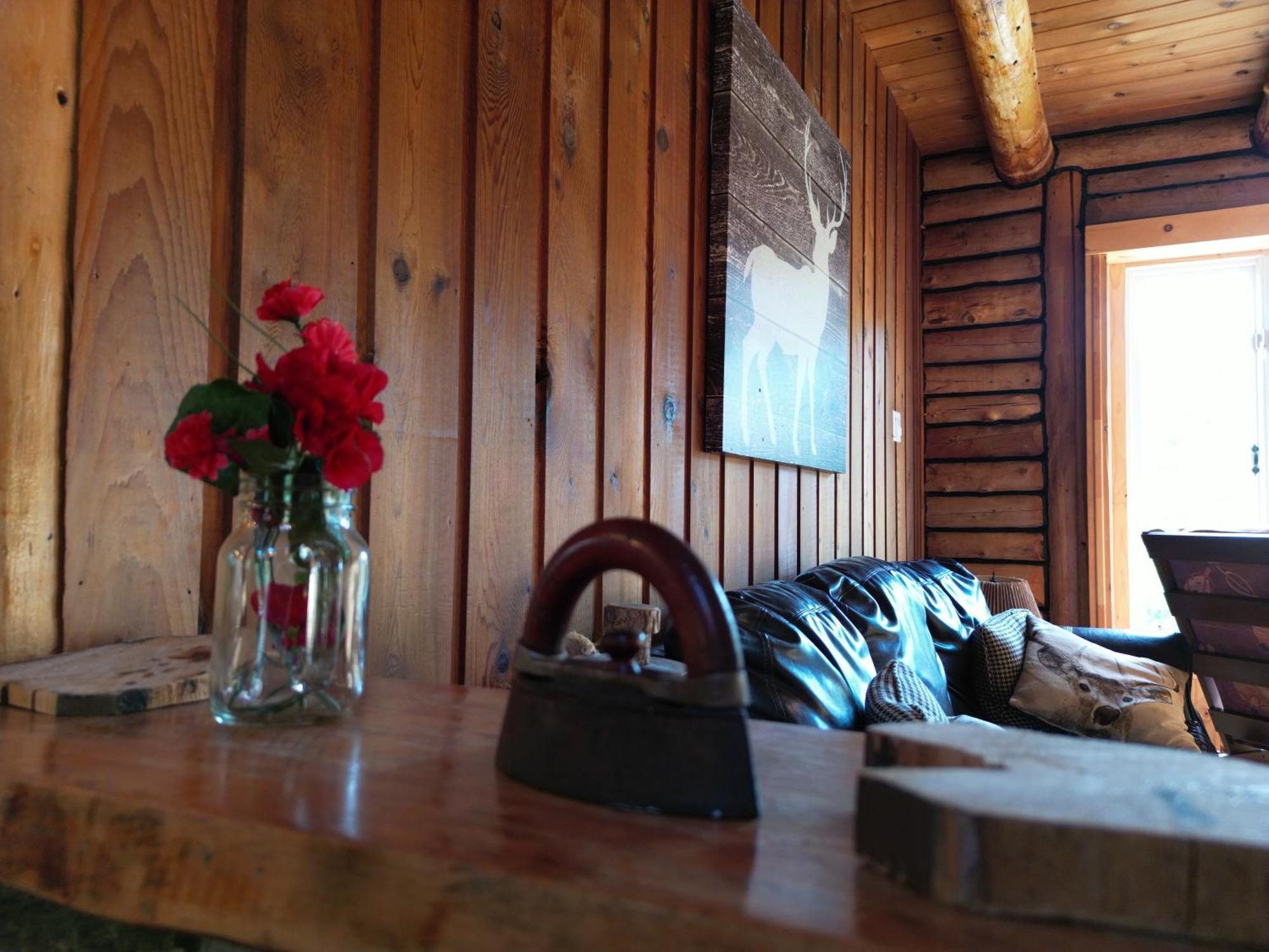 Cozy Log Cottage La Minerve المظهر الخارجي الصورة